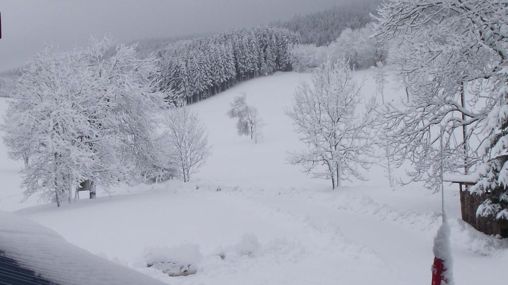 Hotel Le Grand Chalet Foncine-le-Haut Kültér fotó