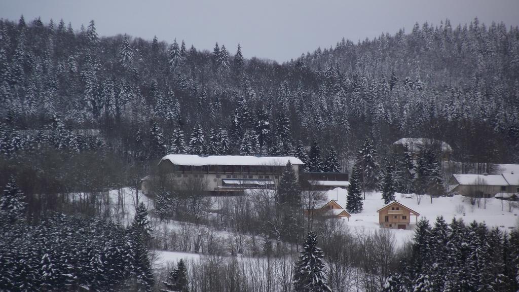 Hotel Le Grand Chalet Foncine-le-Haut Kültér fotó