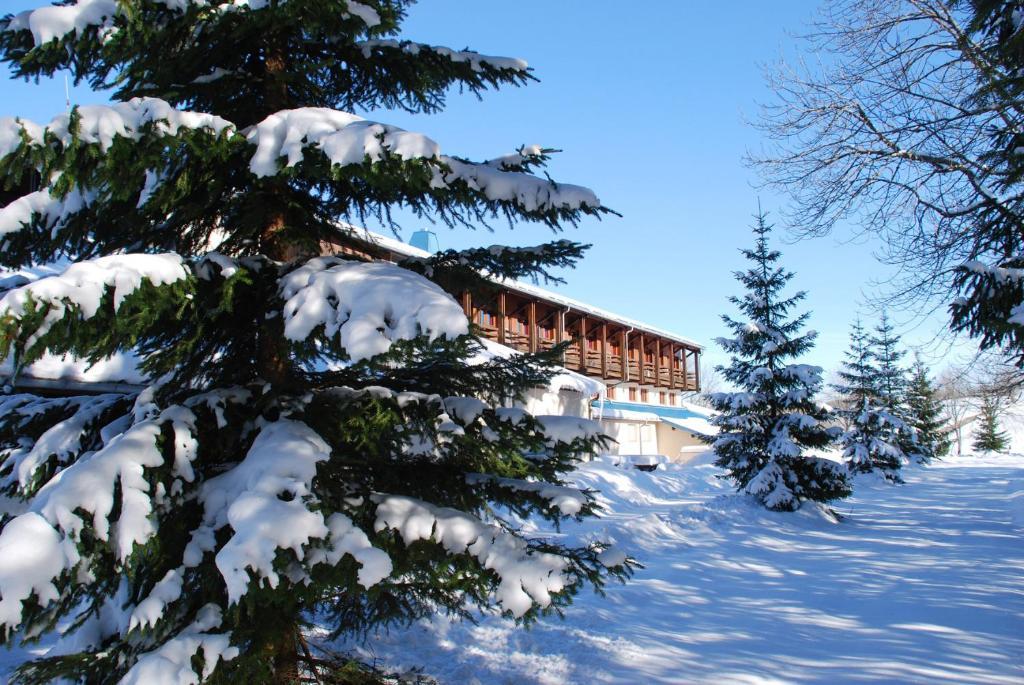 Hotel Le Grand Chalet Foncine-le-Haut Kültér fotó